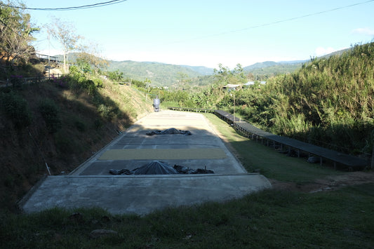 LA COLORETEADA - Costa Rica