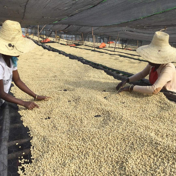 KURI MOUNTAIN - Ethiopia