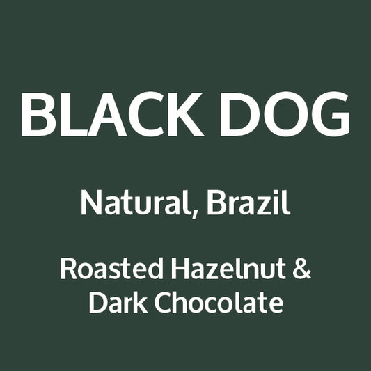 BLACK DOG