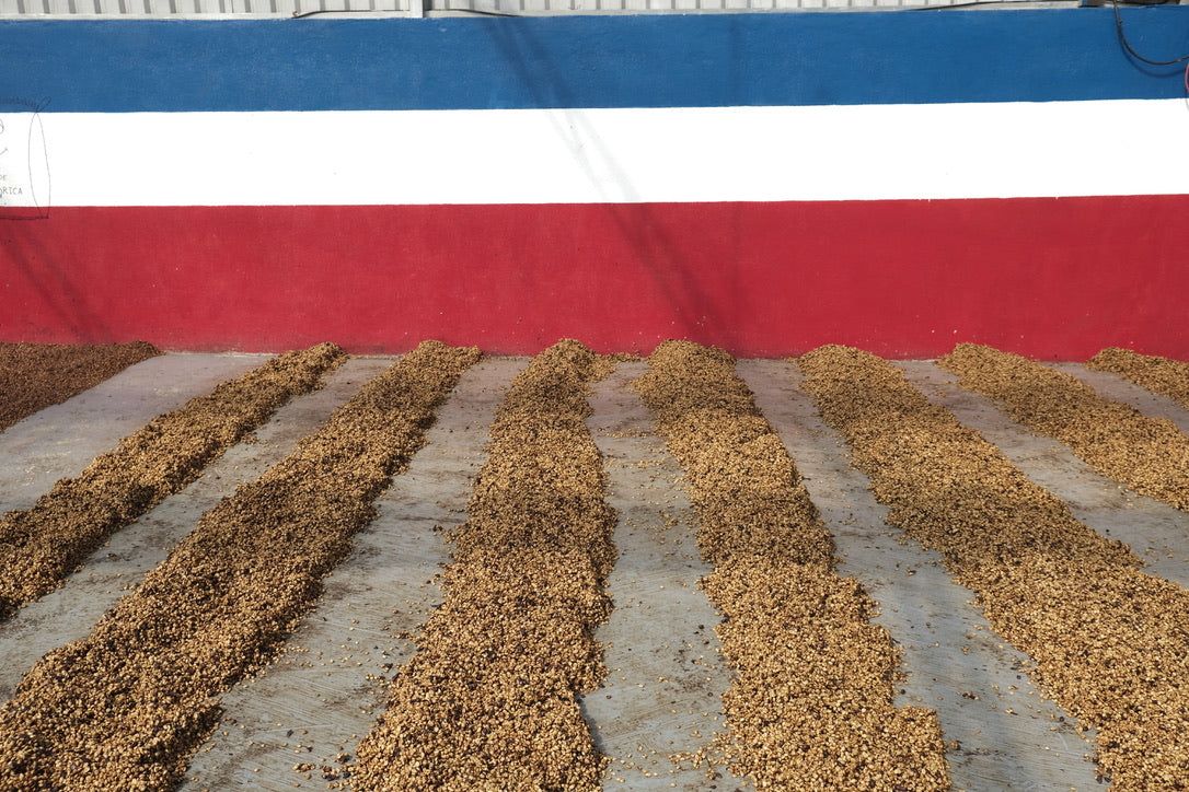 LAS LAJAS - Costa Rica