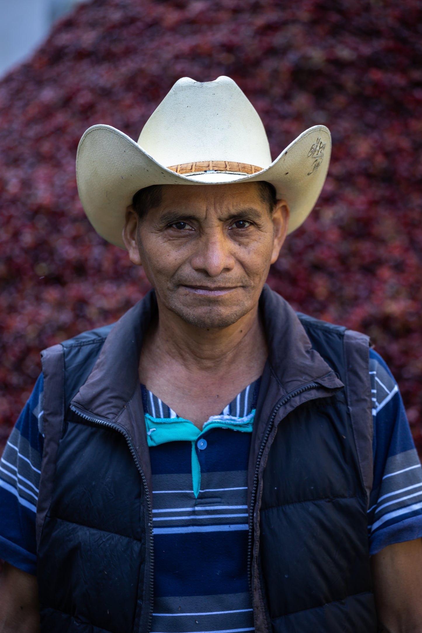 Coffee farmer at finca la bolsa, producing washed Guatemala coffee beans