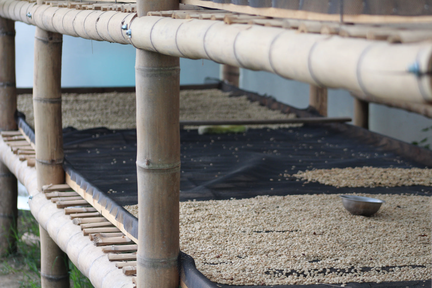 Drying racks at El Refugio in Colombia producing delicious speciality coffee beans