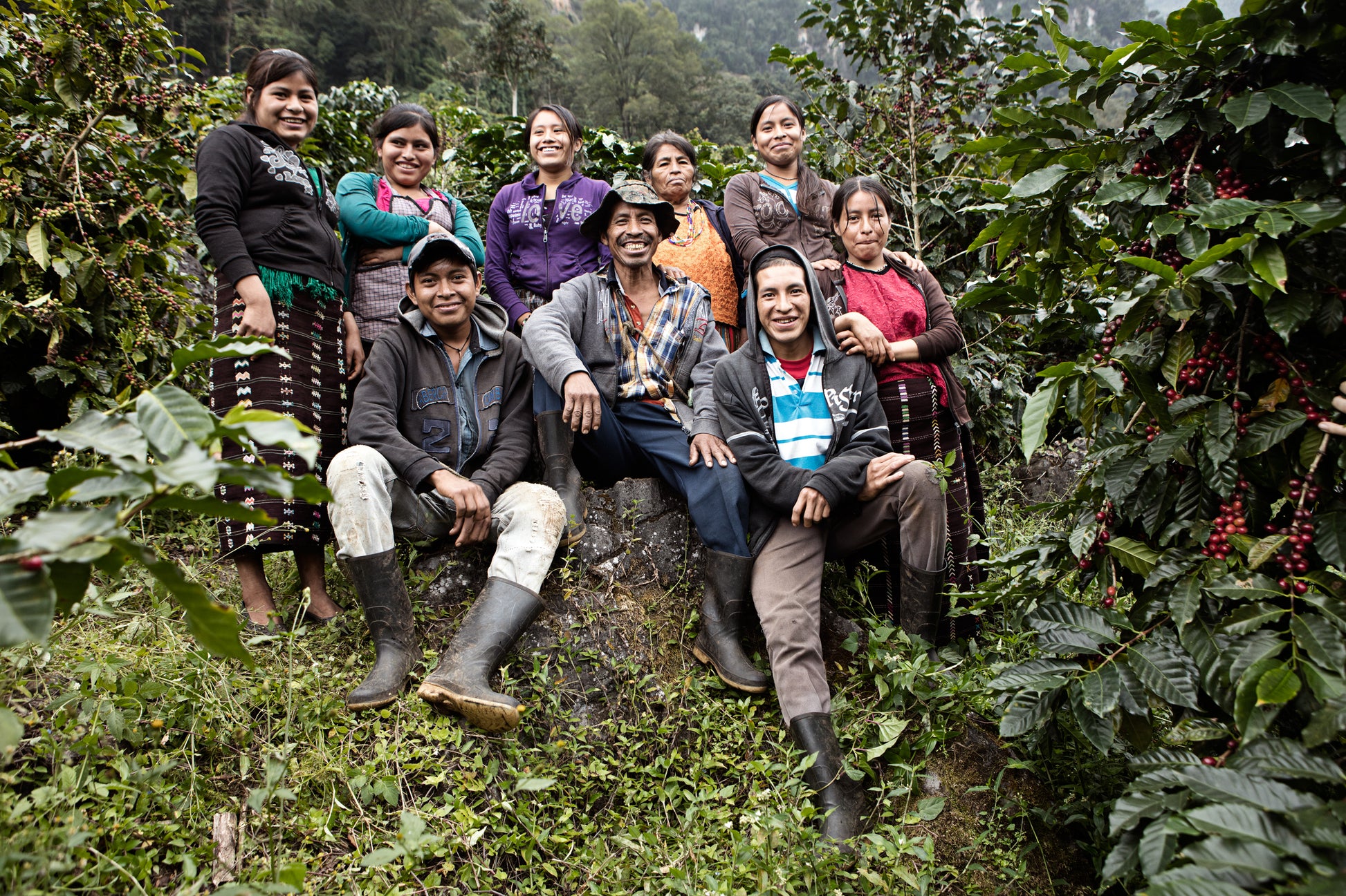 Coffee farmers in La Bolsa, Washed Speciality Coffee Beans