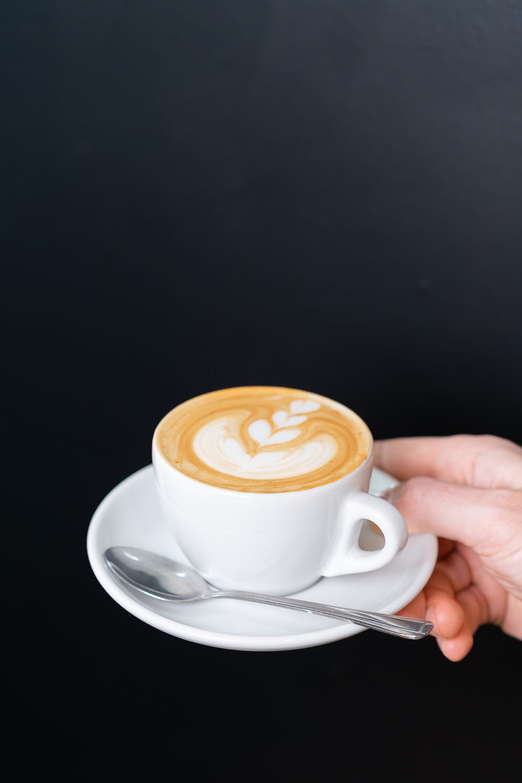 Freda Speciality Coffee Roaster Latte Art