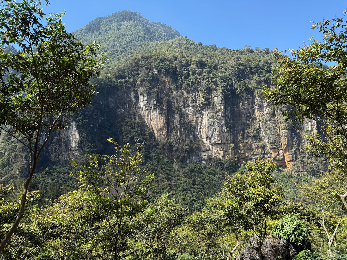 The Hills at Finca La Bolsa, Speciality Coffee grower