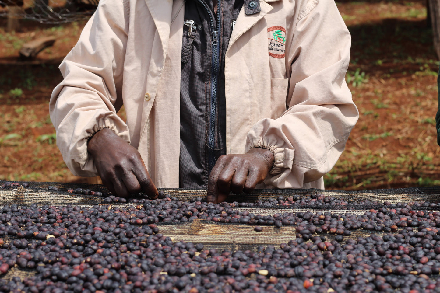 KURI MOUNTAIN - Ethiopia