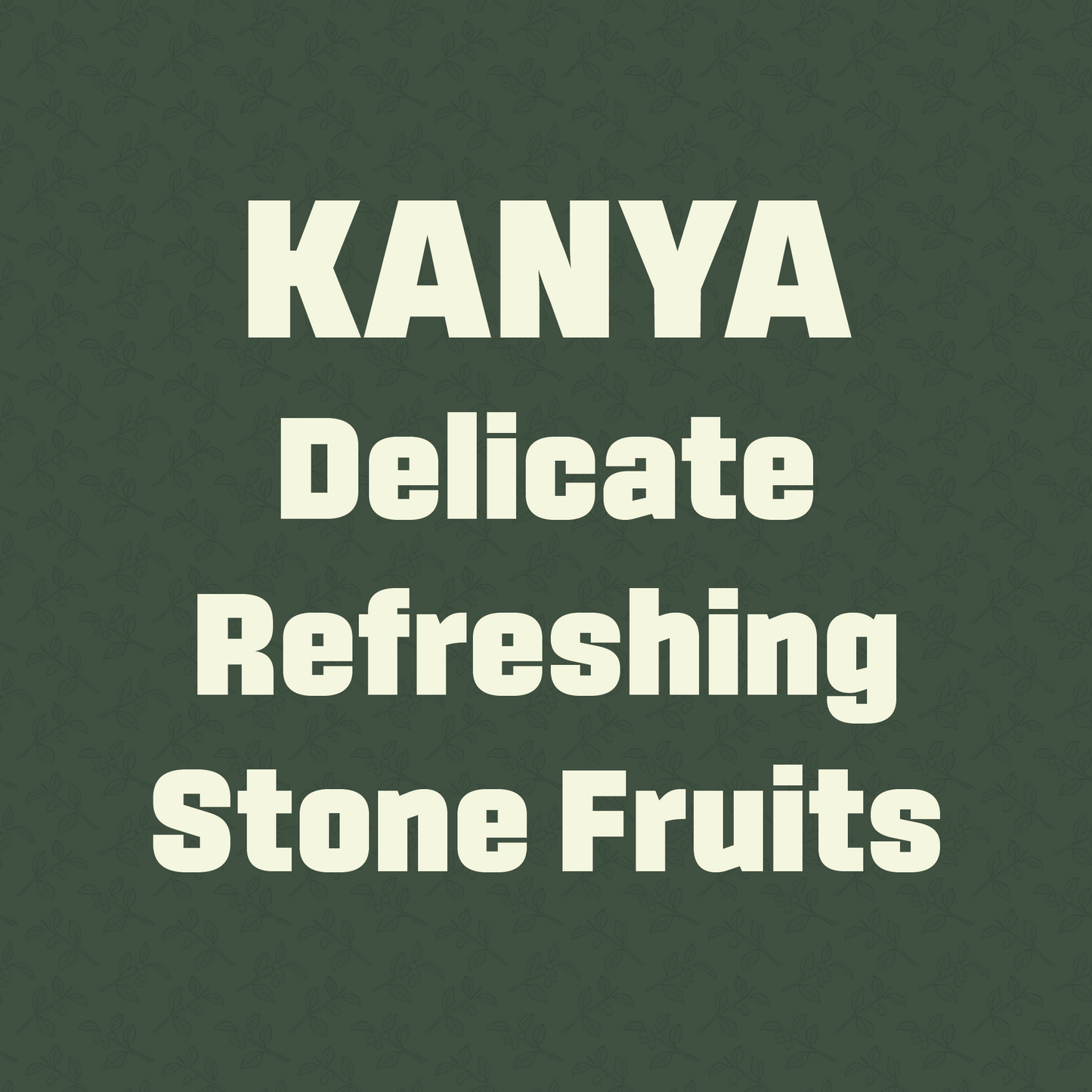 Kanya, Freda Coffee, home brewing speciality coffee