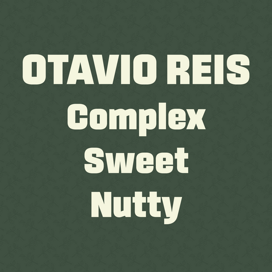 Flavour notes for speciality coffee beans uk