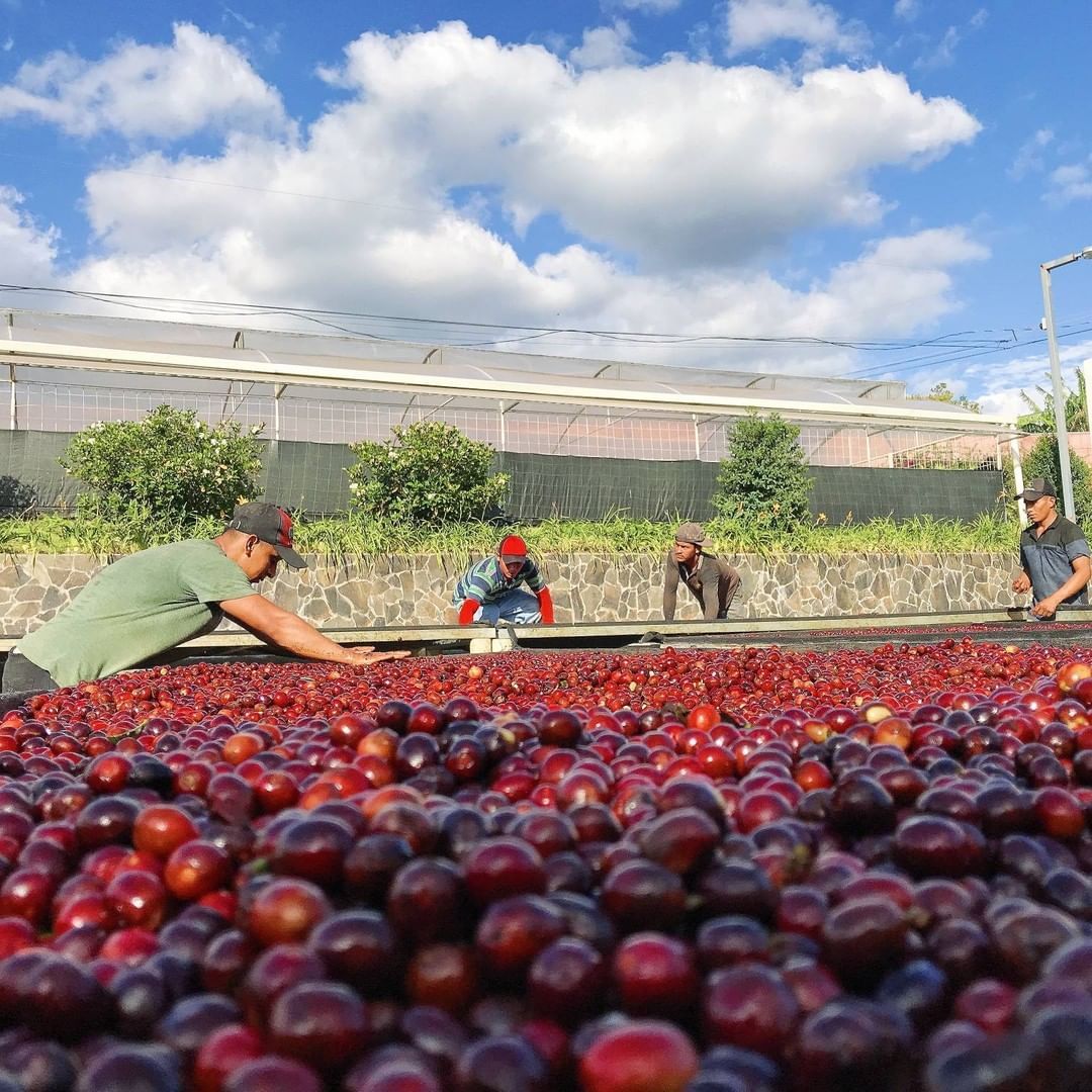 LAS LAJAS - Costa Rica