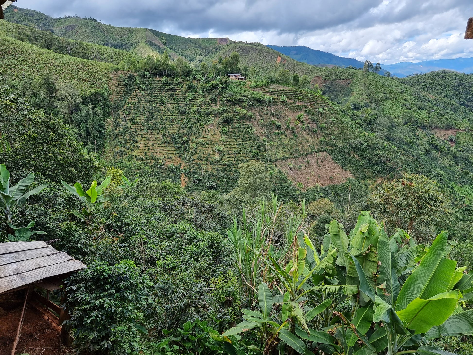 Photo of the hills in Peru, used for Freda Speciality Coffee Roaster in Brighton, UK