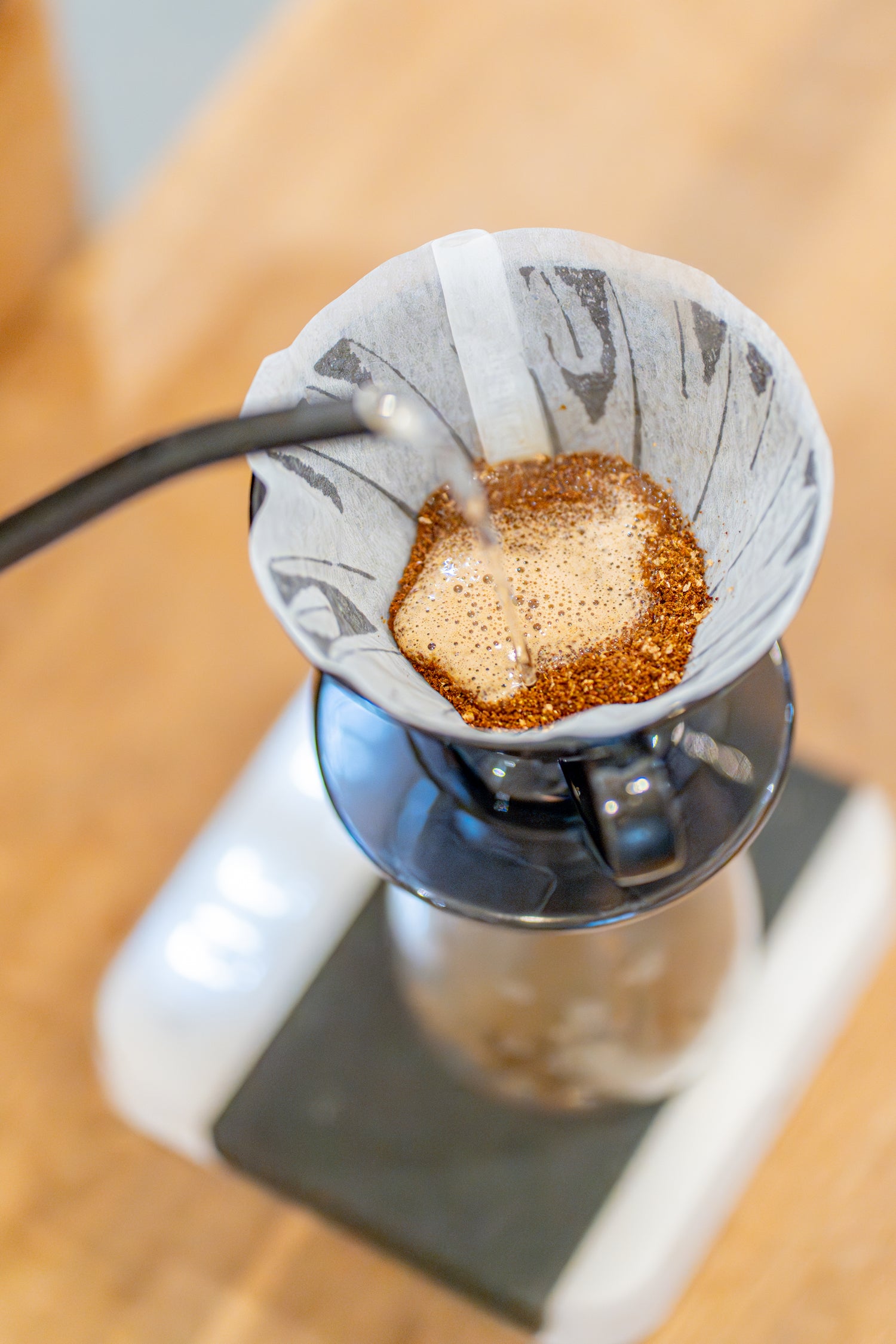 A gooseneck kettle pouring water on Freda Coffee Roaster beans in a Hario V60