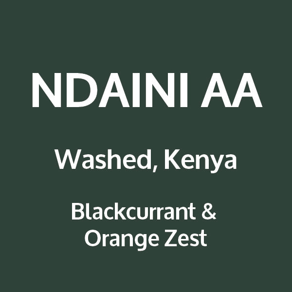 NDAINI AA - Kenya