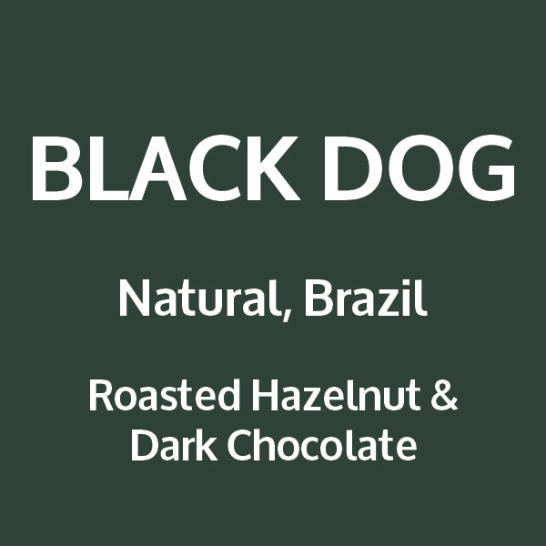 BLACK DOG
