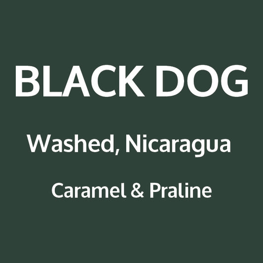 BLACK DOG