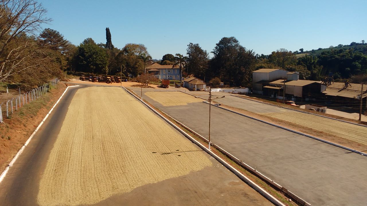 Coffee farm in Brazil, for Freda Coffee and Bond Street Coffee in Brighton
